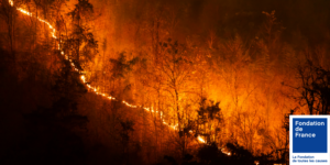 Miniatures site The Desk